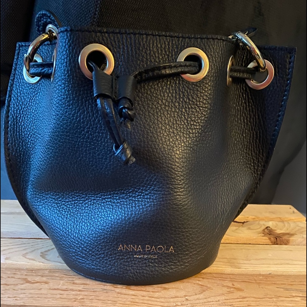 Anna Paola handbag